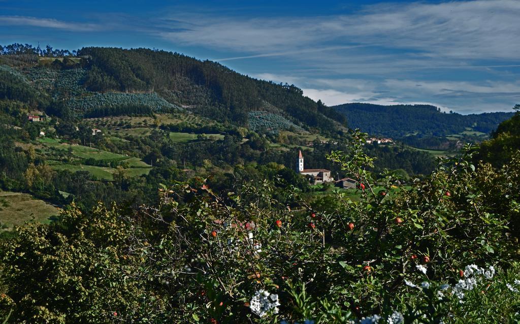 Trisqueles Y Buganvillas Вільявісьйоса Екстер'єр фото